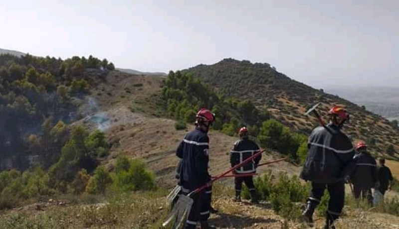 إندلاع حريق مهول بغابة الخبابزة بأولاد بن عبد القادر في الشلف