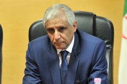 وأخيرا سترى رخص استيراد السيارات النور!
