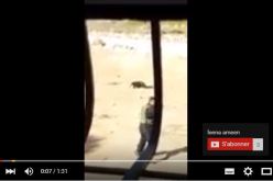 بالفيديو قوات الاحتلال تعدم الشاب فادي حسن الفروغ في بيت عينون بالخليل