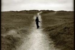 أنت تحلم ونحن نفسر