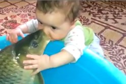 فيديو رائع لسمكة تداعب رضيع وكأنه صغيرها