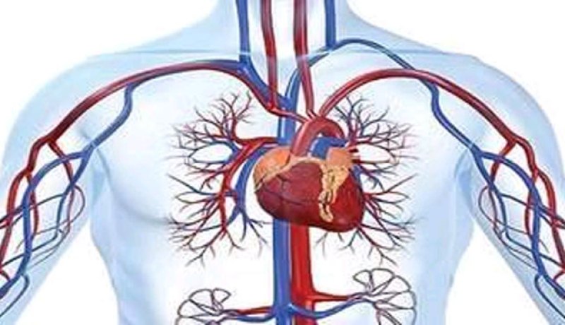 نجاح تقنية جديدة في جراحة الأوعية الدموية بوهران