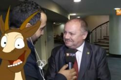 بالفيديو نواب البرلمان يجهلون عدد وزراء حكومة سلال.. وسعر المازوت والبنزين!!