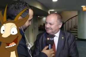 بالفيديو نواب البرلمان يجهلون عدد وزراء حكومة سلال.. وسعر المازوت والبنزين!!