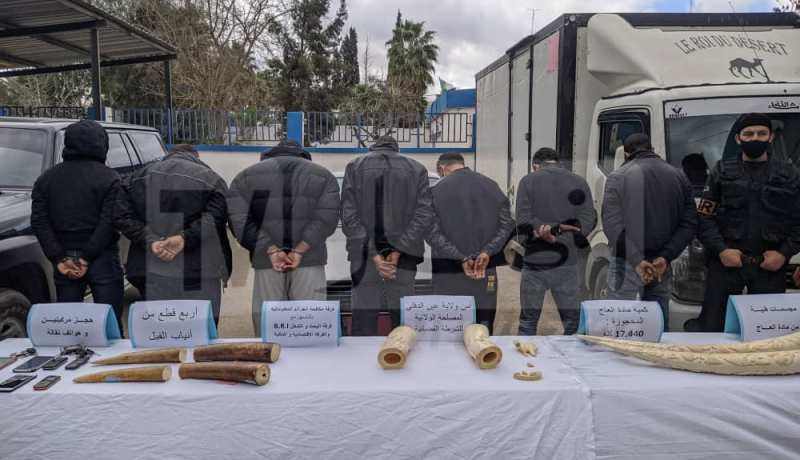 عين الدفلى: الشرطة تفكك شبكة إجرامية مختصة في بيع و تهريب مادة العاج