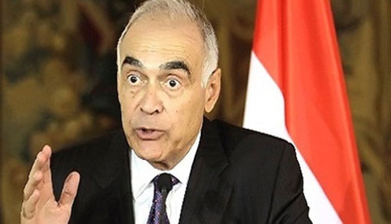 اتصلات مصرية سعودية بشأن الأزمة السورية