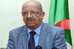 مساهل يمثل الرئيس بوتفليقة في مراسيم تنصيب رئيس جمهورية جيبوتي