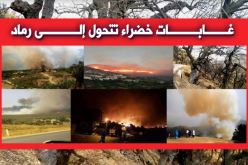 صور.. الحرائق تأتي على الأخضر واليابس في العديد من الولايات