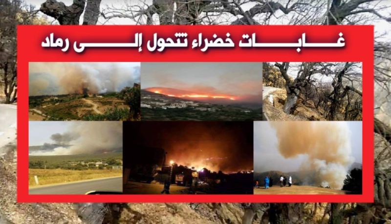 صور.. الحرائق تأتي على الأخضر واليابس في العديد من الولايات