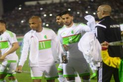 بالصورة.. تعرف على إحصائيات قائمة 23 لاعب الخاصة بكان الغابون 2017