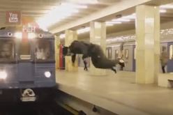 بالفيديو.. شاب يعرّض نفسه للموت بهذه القفزة الجنونية أمام قطار