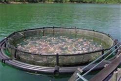 موبيليس الراعي الرسمي لتطهير البحروالسدود الزرقاء