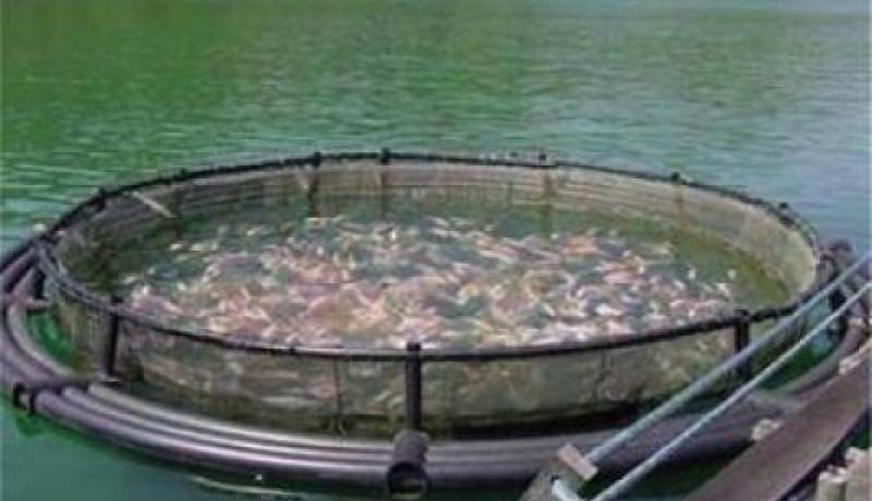 موبيليس الراعي الرسمي لتطهير البحروالسدود الزرقاء