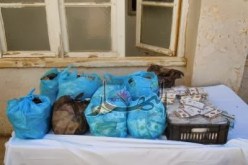 حجز 20 ألف كيس من الشمة المقلدة في بسكرة