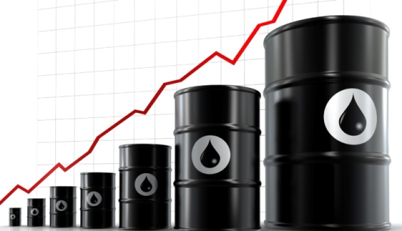 ارتفاع سعر النفط إلى 48.69 دولار أمريكي للبرميل