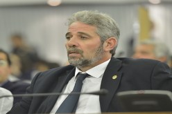 فروخي و صحة الكباش