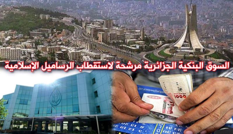 مدير بنك السلام.. الجزائر مؤهلة للتحول إلى قطب للمصارف الإسلامية