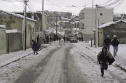 أمطار قوية، ثلوج معتبرة ورياح عاتية على كافة السواحل الوسطى والغربية للوطن