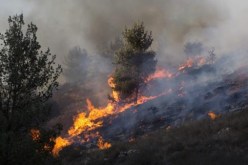 الحرائق أتلفت أزيد من 42 ألف هكتار بالجزائر هذا الصيف