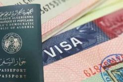 سفارة أوكرانيا.. إستئناف إستقبال طلبات التأشيرات هذا الأربعاء