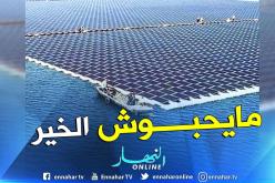 وزير الطاقة الألماني: “الحكومة رفضت مشروعا للطاقة الشمسية يجعلها أكبر مصدر للكهرباء في العالم”