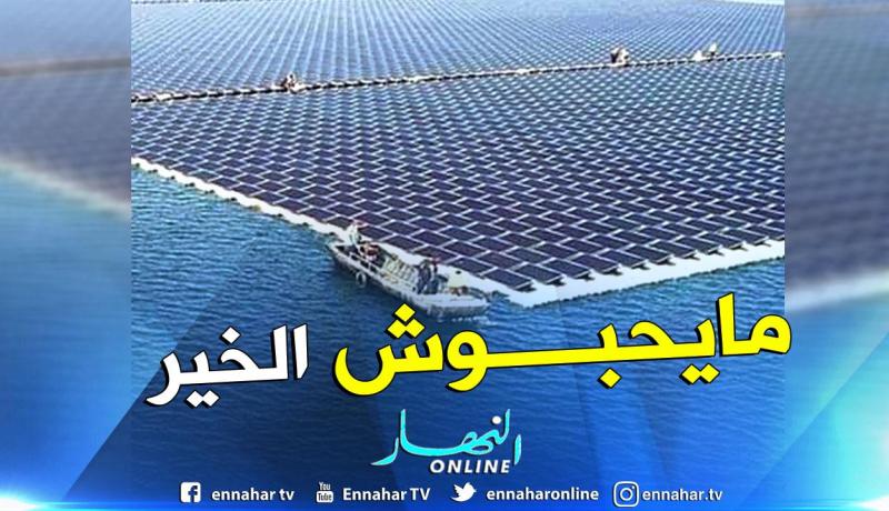 وزير الطاقة الألماني: “الحكومة رفضت مشروعا للطاقة الشمسية يجعلها أكبر مصدر للكهرباء في العالم”
