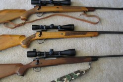 توقيف مجرمين بحوزتهما أسلحة و ذخيرة في بسكرة