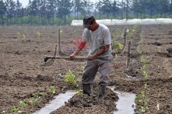 بطاقات مغناطيسية للفلاحين للحصول على دعم الدولة والقروض