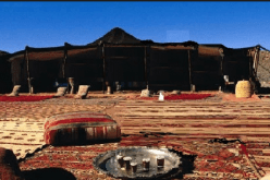 الأيام الأولى للشّعر الشعبي والفصيح بالنعامة الأربعاء