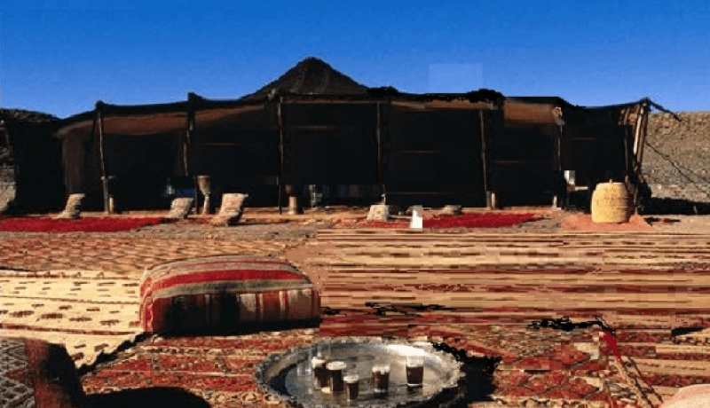 الأيام الأولى للشّعر الشعبي والفصيح بالنعامة الأربعاء