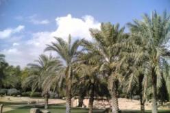 ورقلة تخصص أزيد من 400 مليون دج لإيصال الكهرباء إلى عدد من المحيطات الفلاحية