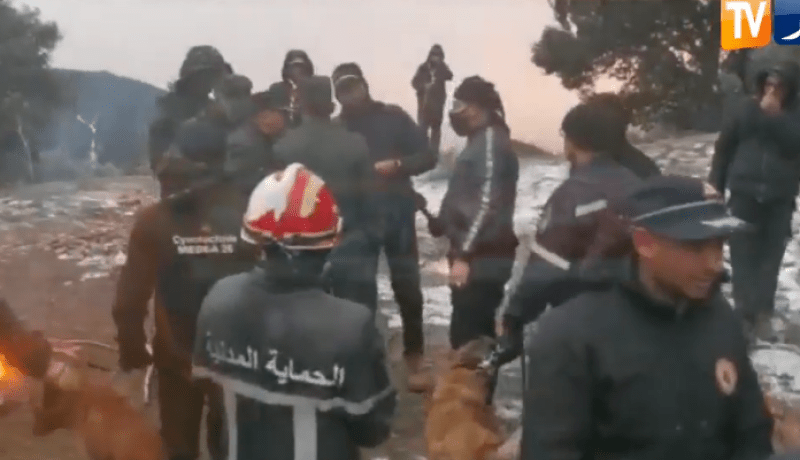 شاهد: عملية البحث عن التائه الثالث بمنطقة الضاية الجبلية في ظروف قاسية