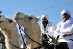 الجزائر في المهرجان الدّولي للصّحراء في تونس
