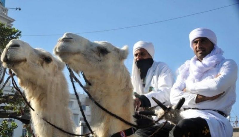 الجزائر في المهرجان الدّولي للصّحراء في تونس