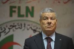 عمار سعيداني يكشف عن قرار بوتفليقة لاجراء تعديل وزاري