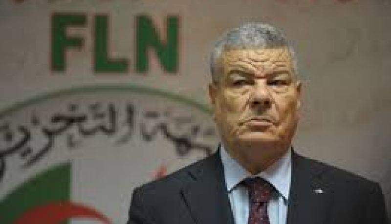 عمار سعيداني يكشف عن قرار بوتفليقة لاجراء تعديل وزاري