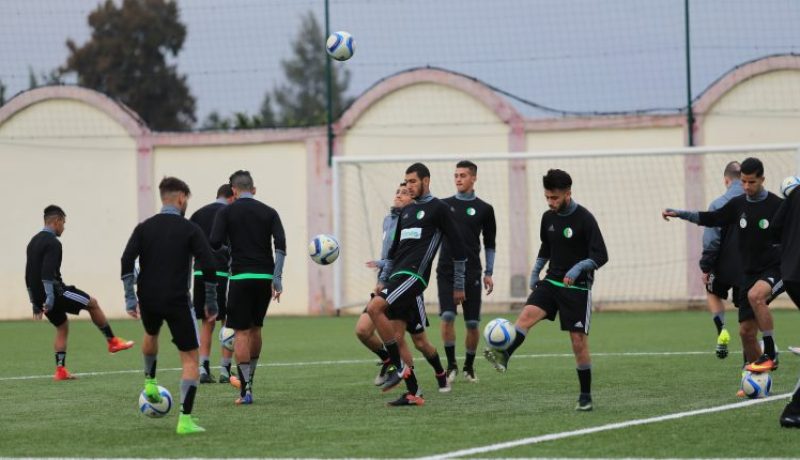 مغتربون من فرنسا وألمانيا يراسلون “الفاف” للإلتحاق بالخضر