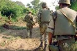 القضاء على 16 إرهابيا وتوقيف 63 عنصرا من شبكات الدعم في البويرة