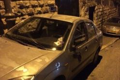 مستوطنون يعتدون على ممتلكات الفلسطينين جنوب المسجد الأقصى