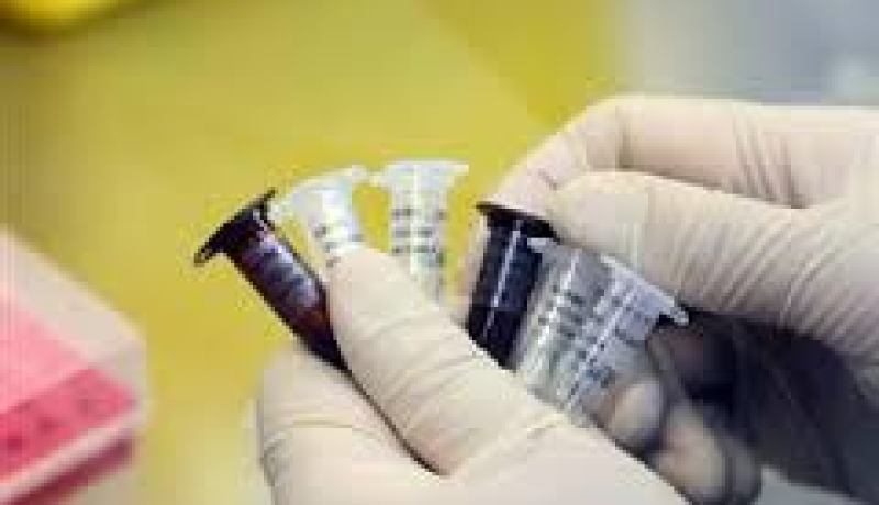تسجيل أول حالة وفاة بانفلونزا الطيور في كندا