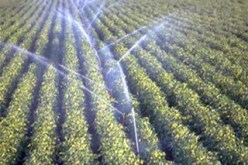 18 محيطا فلاحيا بينهما 6 موجهة للشباب بولاية الأغواط