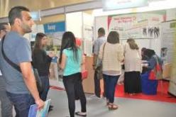 رقم أخضر “05-30” لطالبي العمل قبل نهاية السنة من أجل علاقة دائمة