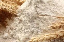 طريقة جديدة لتحضير الخبز من أجل اقتصاد أكثر من 50 مليون دولار من فاتورة إستيراد الفرينة