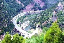 إخماد حريق بغابة قيصر بتنس في الشلف