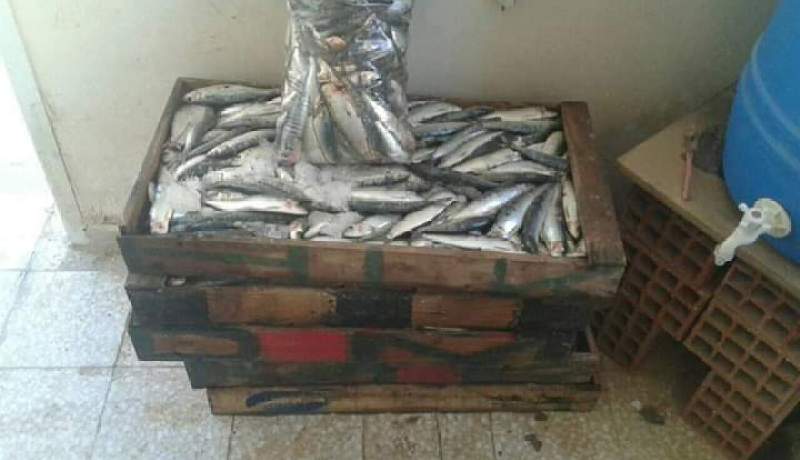 الوادي حجز سمك و 36قنطار ملح غير صالح للاستهلاك