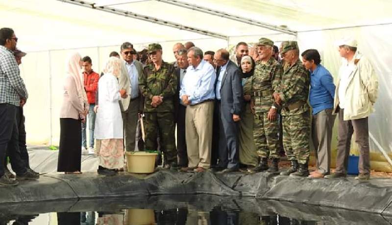 أمريكا تدعم أول مزرعة سمكية في العالم بالجزائر بـ 560 ألف دولار