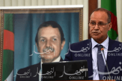 بوعزقي: نتوقع سنة فلاحية وافرة المنتوج