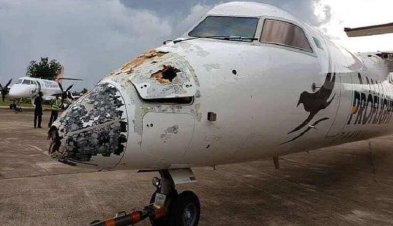 بالصور.. ركاب طائرة ينجون من موت محقق بعدما دمر البرق مقدمتها!