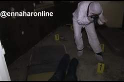 قطة «سياموا» تكشف جريمة قتل ارتكبها شاب ترك خنجره مغروزا في رقبة عجوز!