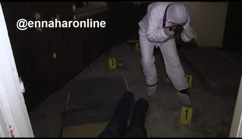 قطة «سياموا» تكشف جريمة قتل ارتكبها شاب ترك خنجره مغروزا في رقبة عجوز!